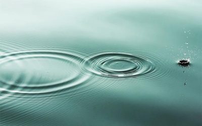 How the Ripple is Affecting Your Business